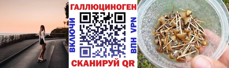 Купить  Канск  Псилоцибиновые грибы мухоморы 